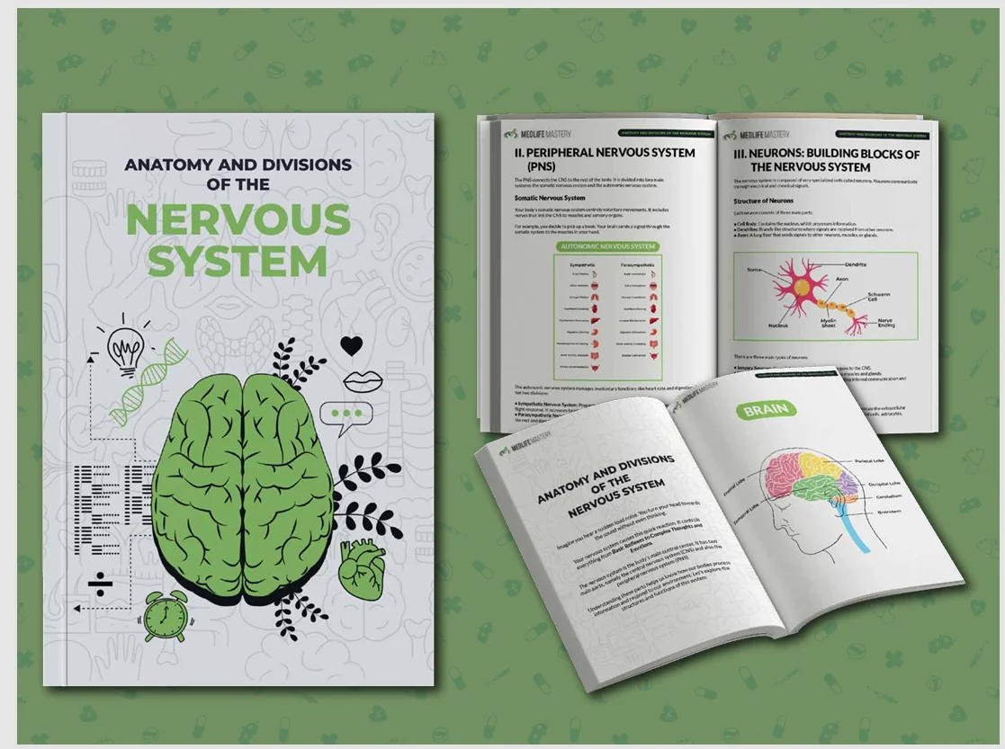 Nervous system workbook cover with charts, diagrams, tables, and open interior layouts